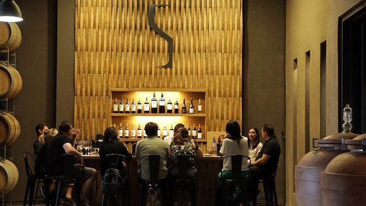 Private Uco Valley Wine Tour with Three Wineries Chosen by Mendoza Holidays (4/4)