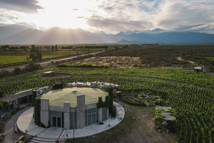 Private Uco Valley Wine Tour with Three Wineries Chosen by Mendoza Holidays (1/4)