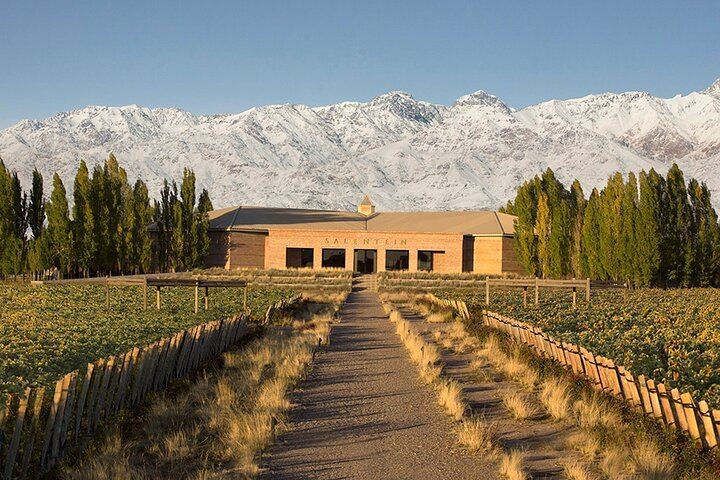Private Uco Valley Wine Tour with Three Wineries Chosen by Mendoza Holidays (3/4)