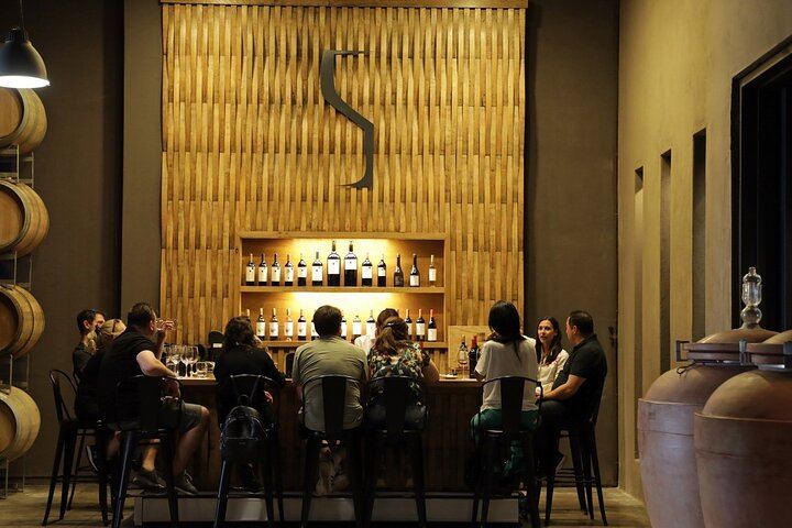 Private Uco Valley Wine Tour with Three Wineries Chosen by Mendoza Holidays (4/4)