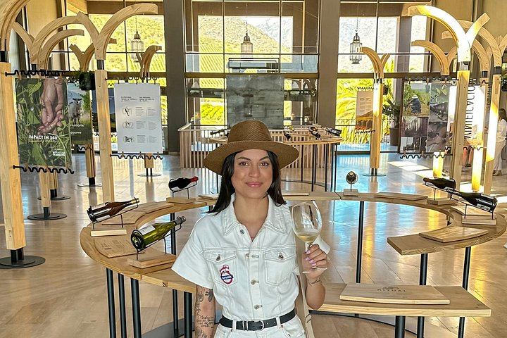 Casablanca Wine Tasting, Neruda's La Sebastiana and Valparaíso Walking Tour (7/12)