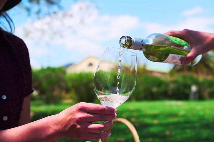 Casablanca Wine Tasting, Neruda's La Sebastiana and Valparaíso Walking Tour (3/12)