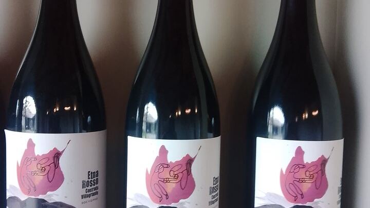 Etna Two-Winery Tour: 1669 Eruption Craters, 4-Wine Tasting and Sommelier-Led Lunch (2/12)