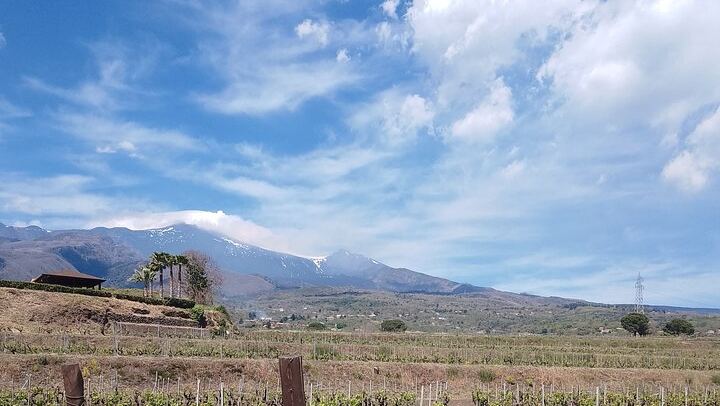 Etna Two-Winery Tour: 1669 Eruption Craters, 4-Wine Tasting and Sommelier-Led Lunch (3/12)