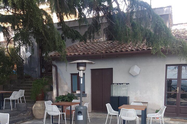 Etna Two-Winery Tour: 1669 Eruption Craters, 4-Wine Tasting and Sommelier-Led Lunch (1/12)