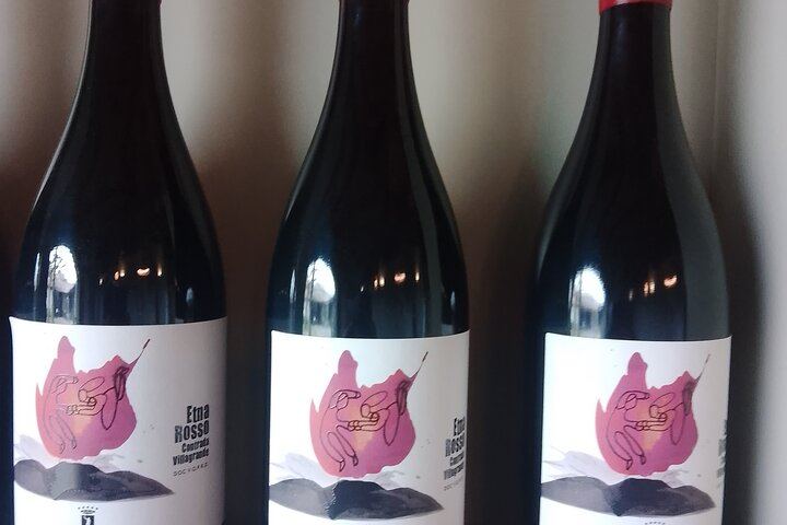 Etna Two-Winery Tour: 1669 Eruption Craters, 4-Wine Tasting and Sommelier-Led Lunch (2/12)
