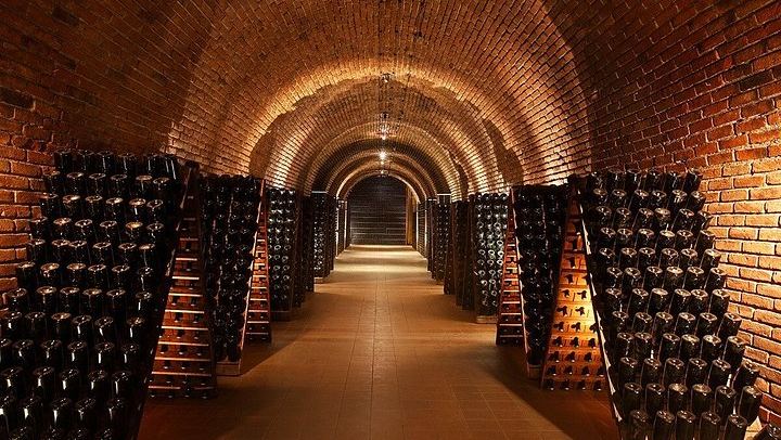 Private Luján de Cuyo Tour: Chandon Sparkling Tasting and Sottano Barbecue Lunch (2/7)
