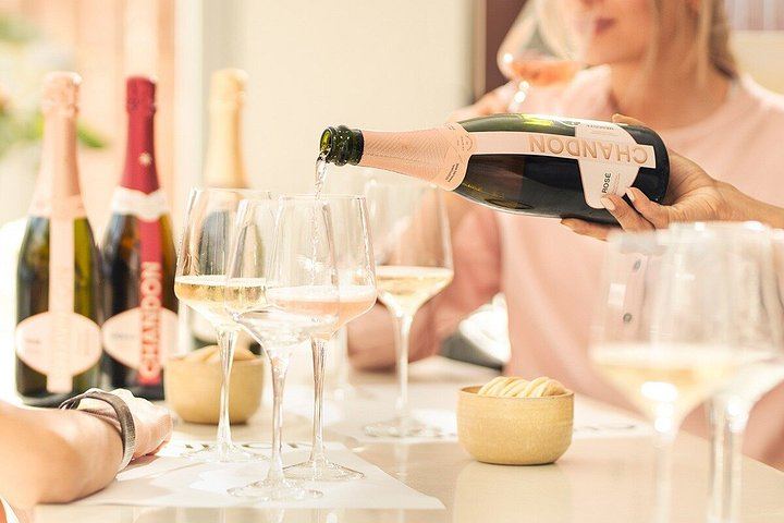 Private Luján de Cuyo Tour: Chandon Sparkling Tasting and Sottano Barbecue Lunch (1/7)