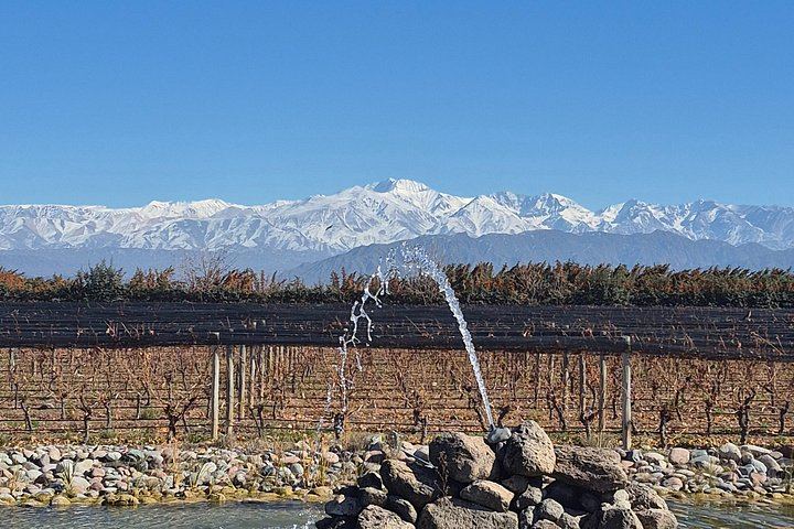Private Luján de Cuyo Tour: Chandon Sparkling Tasting and Sottano Barbecue Lunch (7/7)