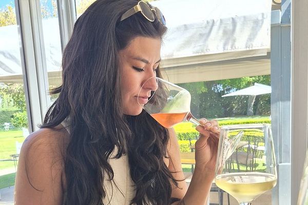 Private Luján de Cuyo Tour: Chandon Sparkling Tasting and Sottano Barbecue Lunch