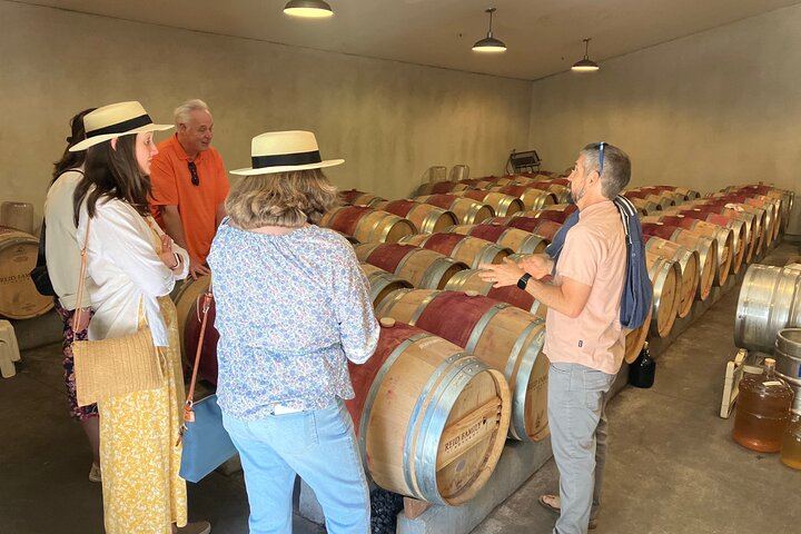 Private Napa or Sonoma Wine Tour in a New Luxury Van for Groups of Up to 8 (3/12)