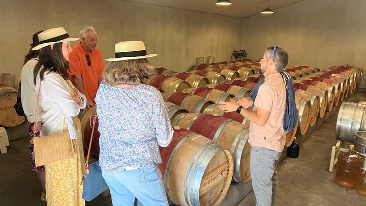 Private Napa or Sonoma Wine Tour in a New Luxury Van for Groups of Up to 8 (3/12)