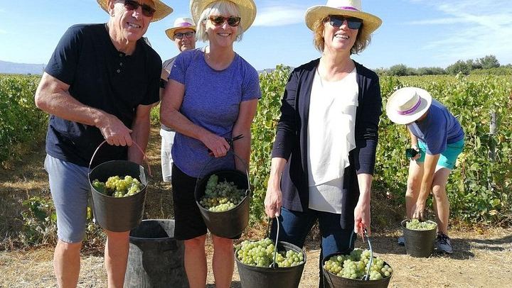 Private Off-the-Beaten-Path Douro Valley Wine Tour from Porto, Winery Lunch Stop (2/12)
