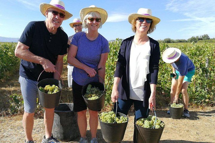 Private Off-the-Beaten-Path Douro Valley Wine Tour from Porto, Winery Lunch Stop (2/12)