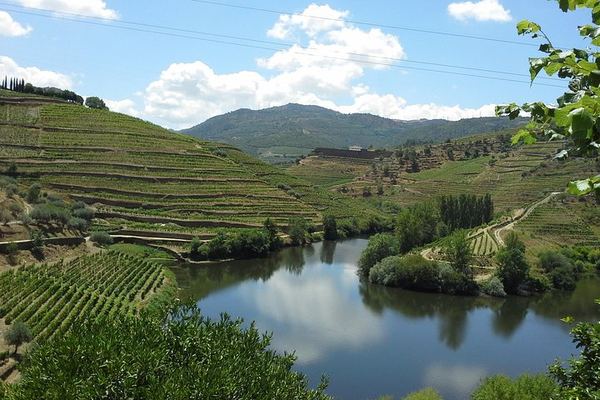 Douro Valley Day Tour from Porto, Max 7 Guests: Two Family Quintas, Villages and Port