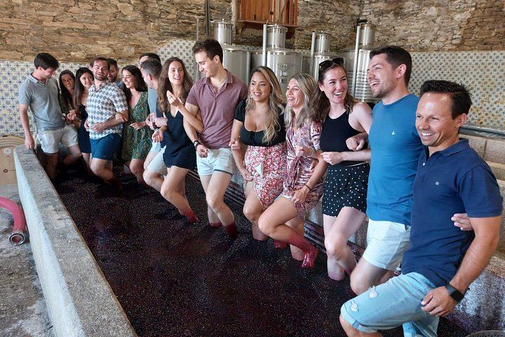 Pinhão Winery Visit at Quinta da Foz: Cellar, Vinification and Five-Wine Tasting (4/6)
