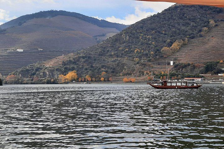Douro Valley Small Group from Porto: Three Tastings, Sabrosa Lunch, Amarante (10/12)