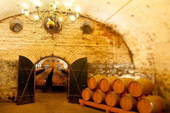 Viña Cousiño Macul Traditional Wine Tour in English, Santiago Boutique Winery (10/10)