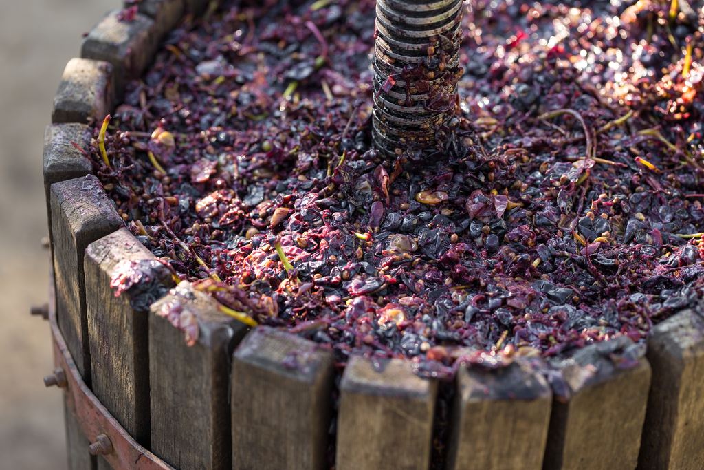 Traditional wooden basket wine press with a screw, filled with crushed red grape skins and must