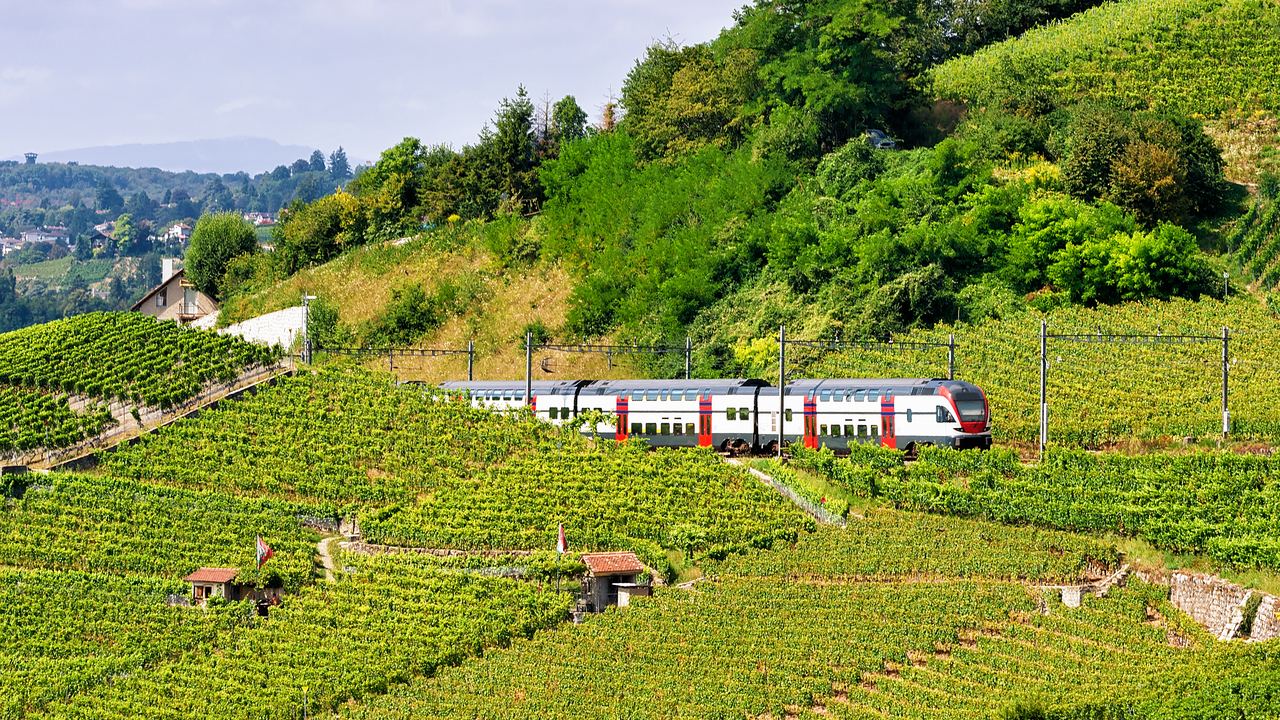 A passenger train running along terraced vineyards on a hillside in the Lavaux wine region, Switzerland