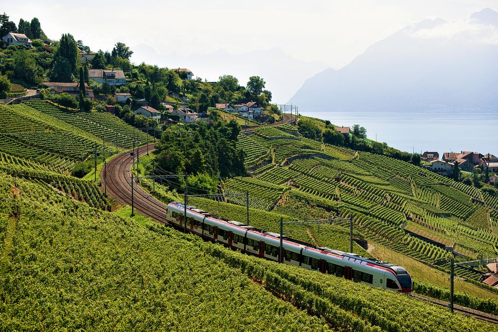 Passenger train running along the railway through terraced vineyards, with a lake and mountains in the distance
