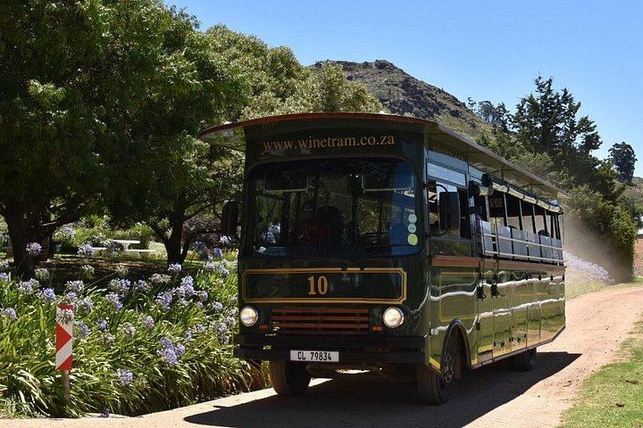 Franschhoek Wine Tram Hop-On Hop-Off Day from Cape Town: Navy Line, Coach Transfer (6/8)