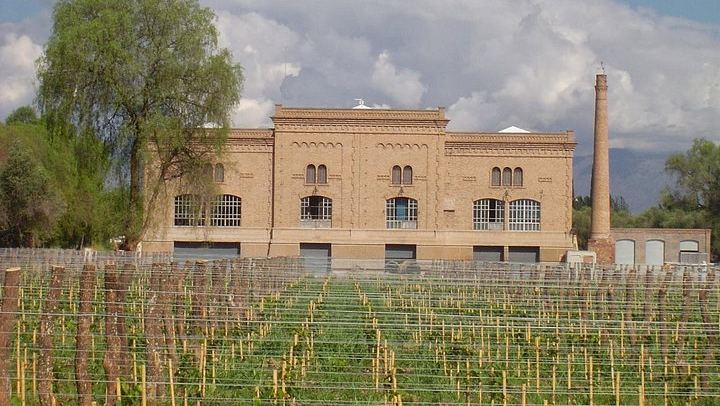 Full-Day Maipú Wine Tour: Trapiche, Santa Julia and Zuelo Olive Oil Lunch (3/12)