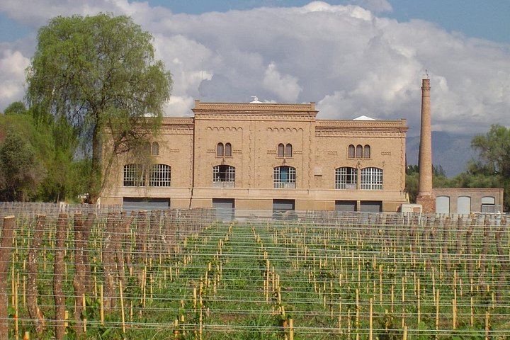 Full-Day Maipú Wine Tour: Trapiche, Santa Julia and Zuelo Olive Oil Lunch (3/12)