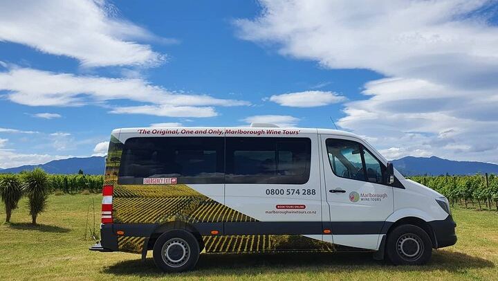 Afternoon Marlborough Wine Tour: Small Group of 11, Four Wineries, Hotel Pickup (2/7)
