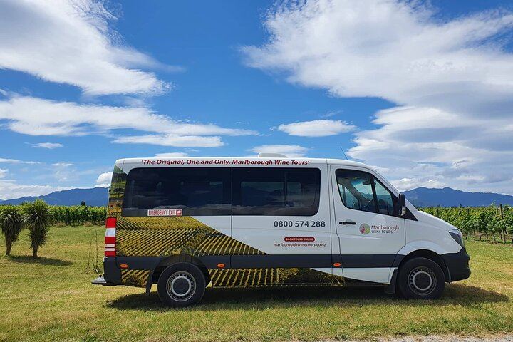 Afternoon Marlborough Wine Tour: Small Group of 11, Four Wineries, Hotel Pickup (2/7)