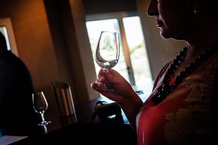 Full-Day Maipú Wine Tour: Trapiche, Santa Julia and Zuelo Olive Oil Lunch (2/12)