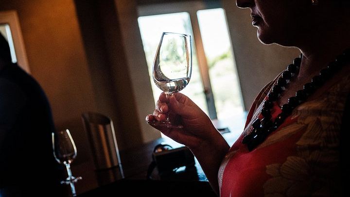 Full-Day Maipú Wine Tour: Trapiche, Santa Julia and Zuelo Olive Oil Lunch (2/12)