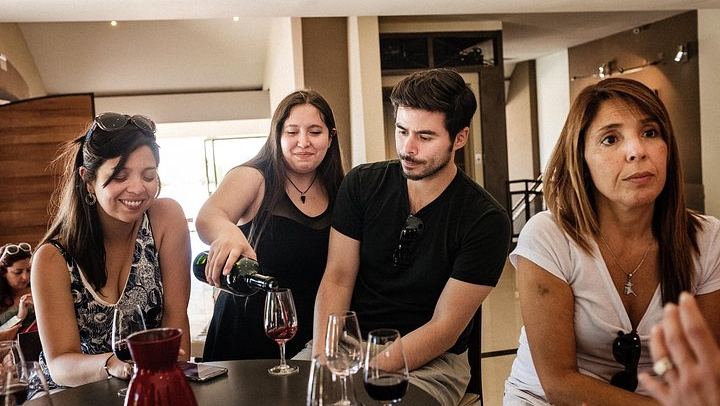 Full-Day Maipú Wine Tour: Trapiche, Santa Julia and Zuelo Olive Oil Lunch (1/12)