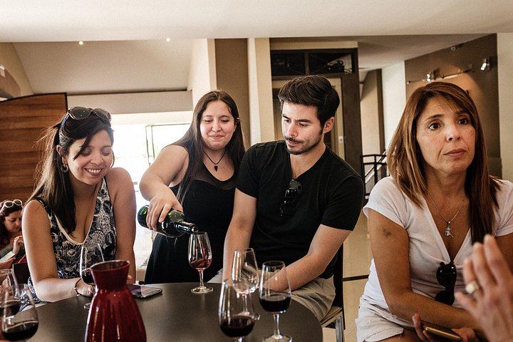 Full-Day Maipú Wine Tour: Trapiche, Santa Julia and Zuelo Olive Oil Lunch (1/12)