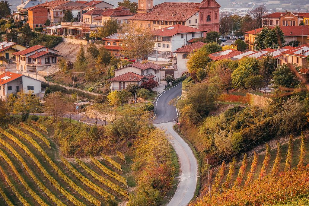 The hill village of Treiso among vineyards in the Barbaresco area of the Langhe