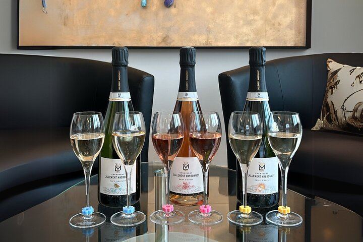 Premier Cru Champagne Vineyard Visit and Triple Tasting in Coulommes-la-Montagne (8/10)