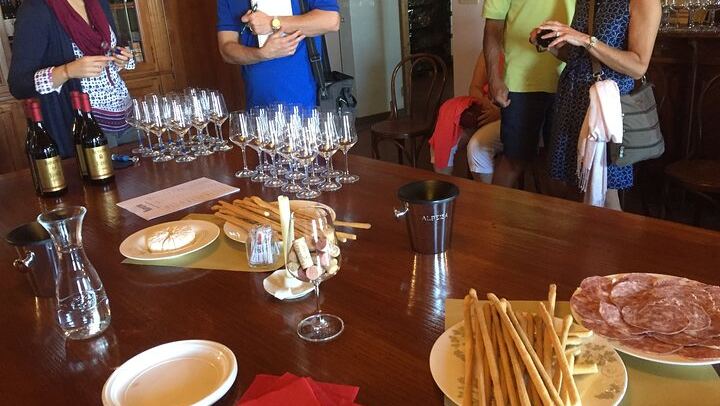 Alba Truffle Hunt and Barolo Tasting: 4-Hour Langhe Tour with Truffle Dog (1/7)