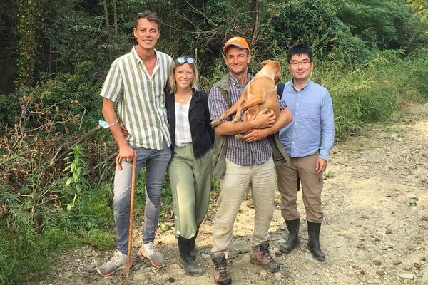 Alba Truffle Hunt and Barolo Tasting: 4-Hour Langhe Tour with Truffle Dog