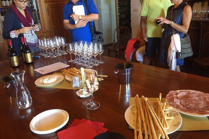 Alba Truffle Hunt and Barolo Tasting: 4-Hour Langhe Tour with Truffle Dog (1/7)