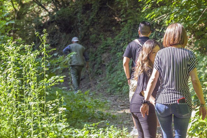 Alba Truffle Hunt and Barolo Tasting: 4-Hour Langhe Tour with Truffle Dog (7/7)