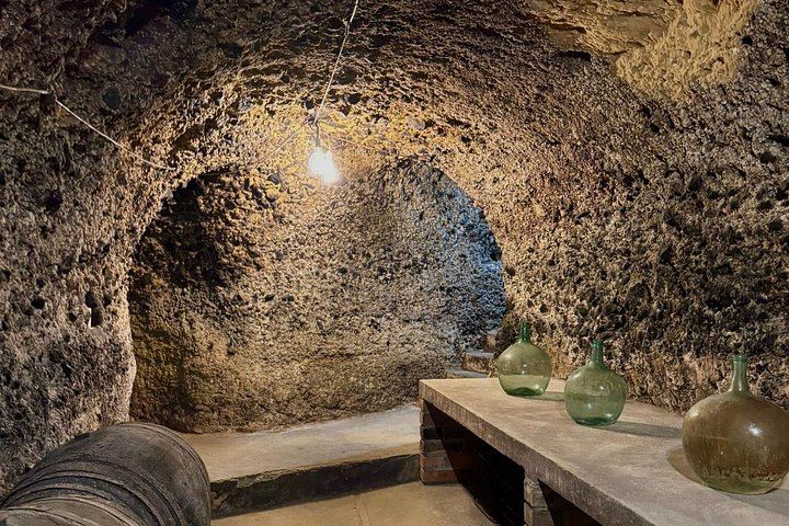 Samaniego Family Winery Visit with Old Cellar Tunnels and Tasting, Rioja Alavesa (3/6)