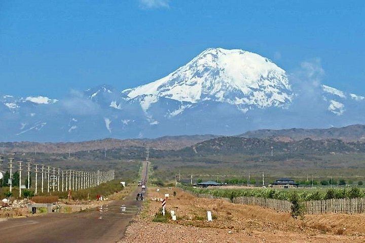 Private Uco Valley Wine Day with Driver: Bousquet, Salentein and Andean Lunch (7/12)