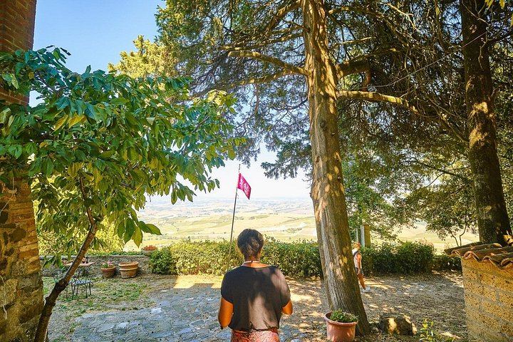 Val d'Orcia by Coach from Florence: Montalcino, Pienza, Montepulciano and Pecorino (11/12)