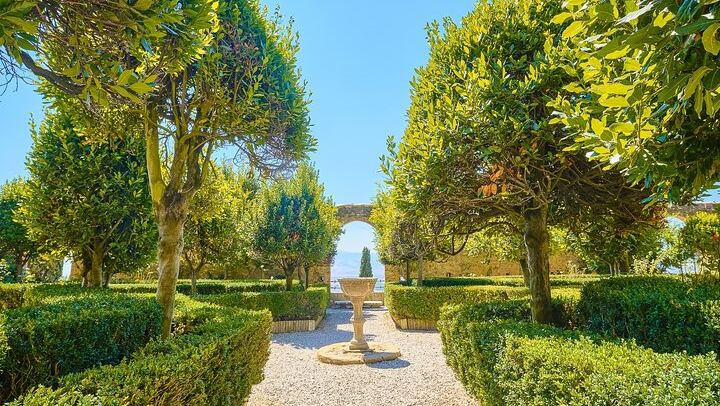 Val d'Orcia by Coach from Florence: Montalcino, Pienza, Montepulciano and Pecorino (3/12)