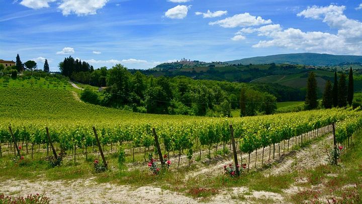 Private Day Trip from Florence to San Gimignano and Chianti by Deluxe Minivan, Commentary (3/8)