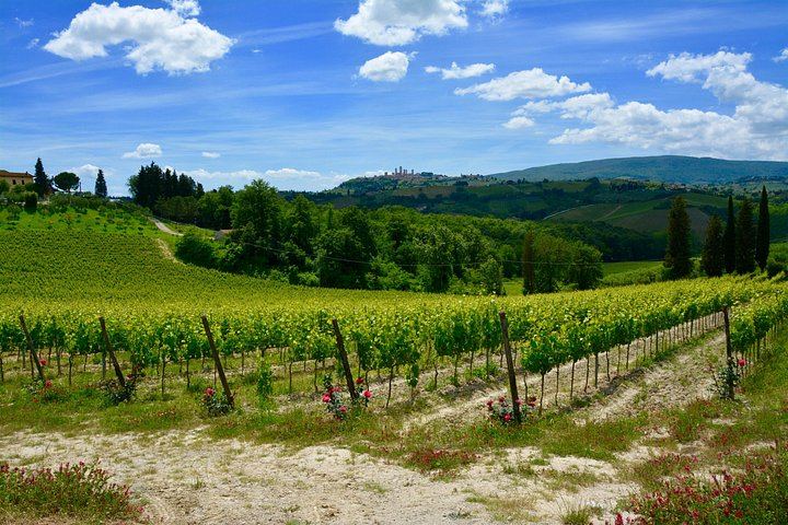 Private Day Trip from Florence to San Gimignano and Chianti by Deluxe Minivan, Commentary (3/8)
