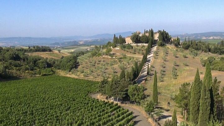 Private Chianti Tour: Two Boutique Wineries, Three-Course Lunch and Greve, 5 Hours (4/12)