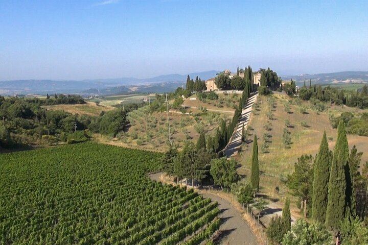 Private Chianti Tour: Two Boutique Wineries, Three-Course Lunch and Greve, 5 Hours (4/12)