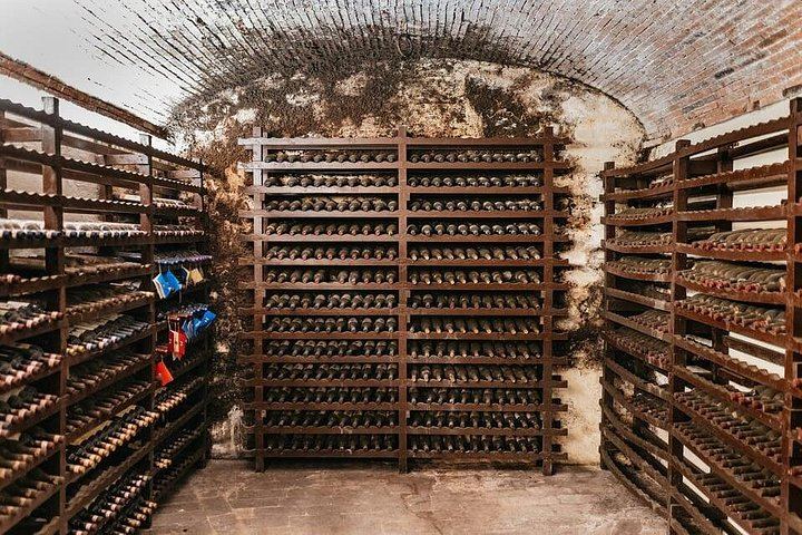 Small-Group Chianti Day from Florence: Riseccoli, Casa Emma, Poggio Torselli (10/12)