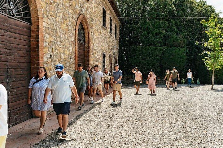 Small-Group Chianti Day from Florence: Riseccoli, Casa Emma, Poggio Torselli (2/12)